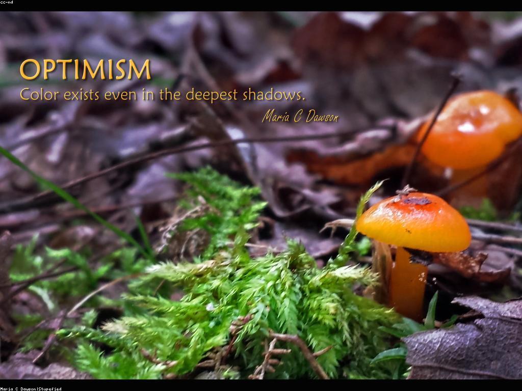 ការលើកទឹកចិត្តដើម្បីឆ្លើយតបនឹងបញ្ហានៅក្នុងជីវិត